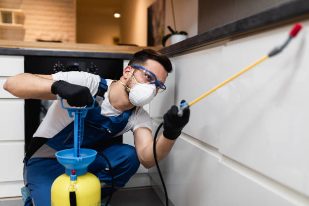 Best Residential Pest Control  in New Square, NY