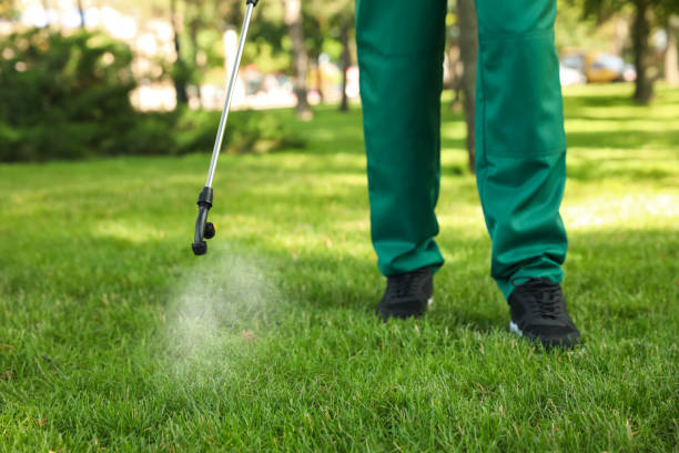 Best Best Pest Control Companies  in New Square, NY