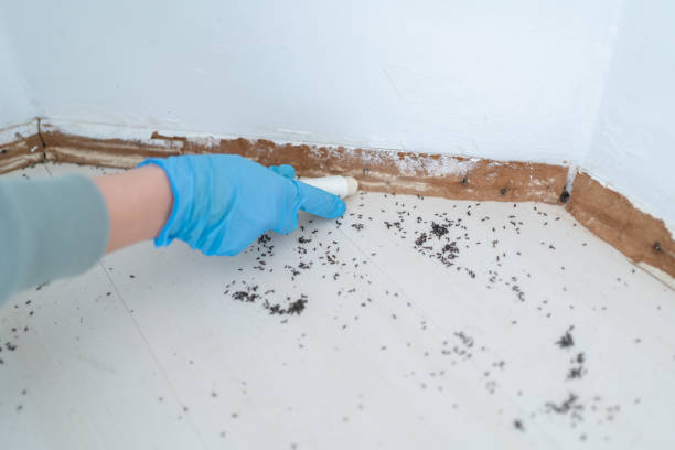 Best Commercial Pest Control Services  in New Square, NY